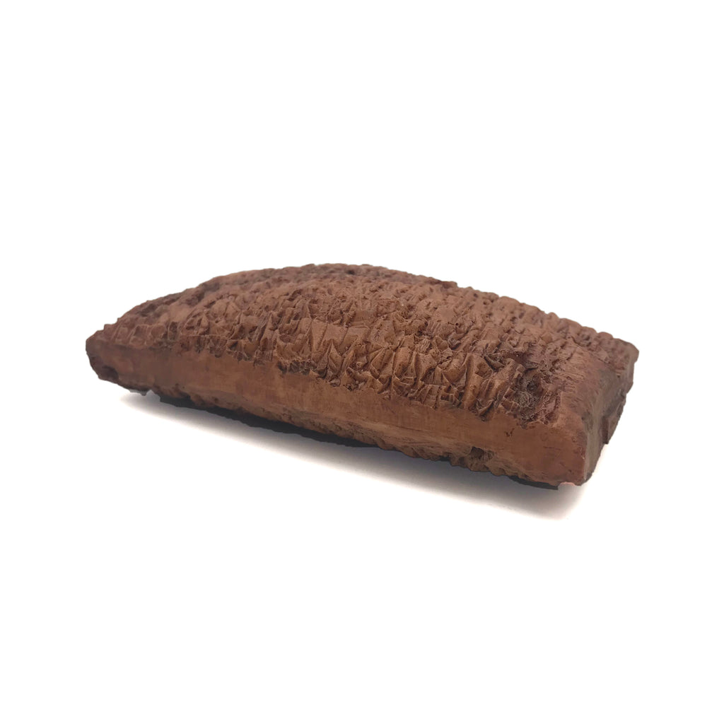 Reproduction of an ancient cuneiform tablet on a white background. Side.