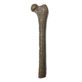 Reproduction of engraved Mayan artifact. A bone, most likely a monkey Femur. Relief engraving is a portrait of a ruler. Front of object.