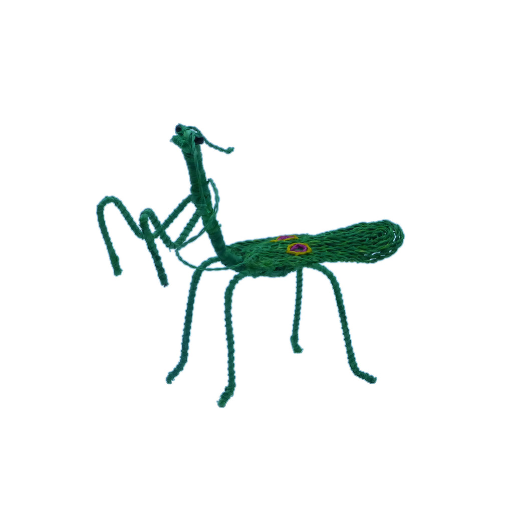 Praying Mantis ornament on a white background