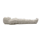 Sarcophagus with Mummy