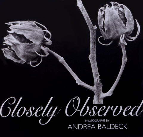 Closely Observed photographs by Andrea Baldeck (2006)